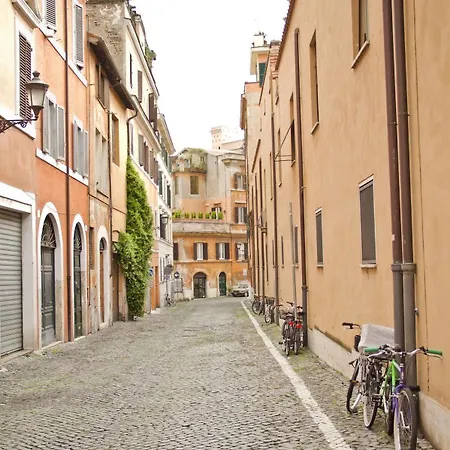 Elegant Behind The Colosseum Rome
